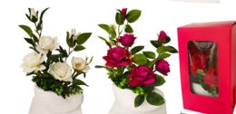 6 Pieces 9.5x16 Swan Basin 6 Rose - Garden Planters and Pots