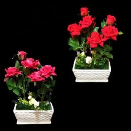 6 Pieces Bonsai Rose Plant - Garden Planters and Pots