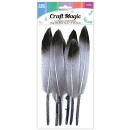 600 Wholesale feather black 12-15cm with black tip