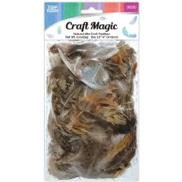 600 Wholesale natural mini feathers 9-15cm Assorted