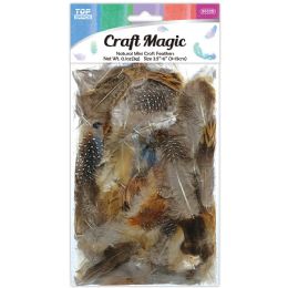 600 Wholesale natural mini feathers 9-15cm Assorted