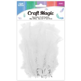 600 Wholesale 35-Piece feather white 12-17cm