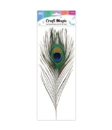 600 Wholesale 1-Piece peacock feather 60-70cm