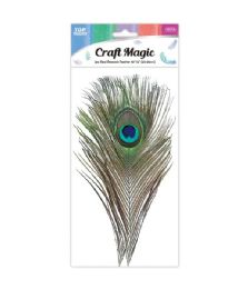600 Wholesale 2-Piece peacock feather 25-30cm