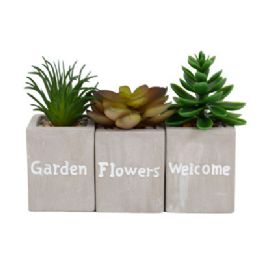 24 pieces Succulents 3ast W/cement Base Upc Lbl/base Size 1.65 X 2.13in White Case Cut Carton Display - Artificial Flowers