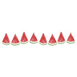 12 pieces Watermelon Streamer - Streamers & Confetti
