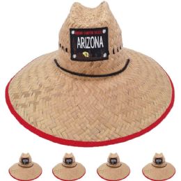 12 Bulk Wide Brim Raffia Straw Lightweight Arizona Embroidered Man Sun Hat