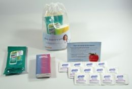 20 Wholesale Flu Safety Wipes Kit