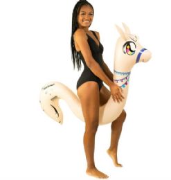6 Pieces Llama RidE-On Pool Noodle - Inflatables