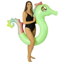 2 Wholesale Seahorse RidE-On Pool Noodle