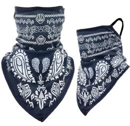 12 Wholesale Paisley Print Triangle Face Shields