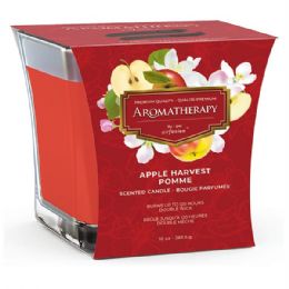 8 pieces Air Fusion Candle Apple Harvest 10oz - Candles & Accessories