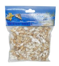 24 Pieces Sea Shell 100 Gram - Craft Beads