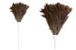 12 of Feather Duster (brown) (21")