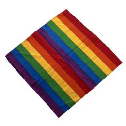 24 of Bandana - Wide Rainbow Stripes