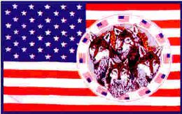24 Pieces 3 X 5 Polyester Flag, Us Flag Four Wolves With Grommets - Flag