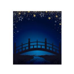Starry Night Bridge Photo Prop - Photo Prop Accessories & Door Cover