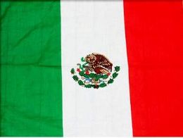 24 of Mexico Flag Bandana