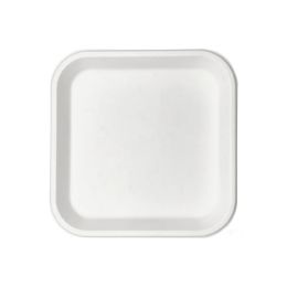 9" Bagasse Square Plate, 500 Ct. (20 Packs Of 25) - Disposable Plates & Bowls
