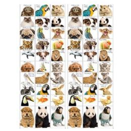 720 pieces Animal Cards - 30 Styles, 2 Dz Each - Invitations & Cards