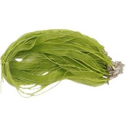24 pieces Grean Ribbon & Cord - Bows & Ribbons