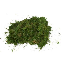 24 Wholesale Natural Moss 250g/bag