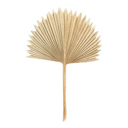 12 Pieces Dried Sun Palm Leaf - 14 inch - Wall Decor