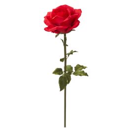 12 of Jumbo Rose 42 Inch - Red