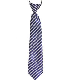24 of Blue And White Lines Kid Necktie