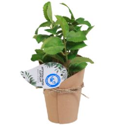 12 pieces Artificial Paper Cut Plant 8.6 Inch - Home Accessories