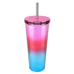 12 pieces XxX- Double Wall Stainless Steel Two Tone Tumbler With Lid A - Drinking Water Bottle