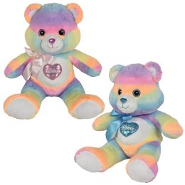 6 Wholesale 24 inch Cotton Candy Heart Bear