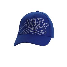 6 of Men Caps Logo NY NY
