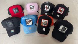 6 of Caps Animal Logo