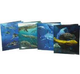 48 pieces Marine Predators Portfolios, 6 Assorted Designs, - Folders and Report Covers