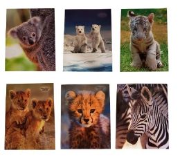 48 pieces Wildly Cute Portfolios, 4 Assorted Designs, - Folders and Report Covers