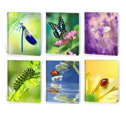 24 pieces Bugs 70 Ct Wide Ruled Theme Books, 6 Assorted Designs, - Folders and Report Covers