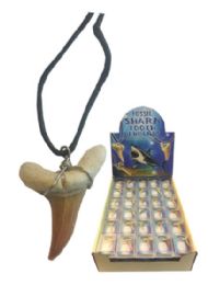 90 Wholesale Fossil Shark Tooth Necklace