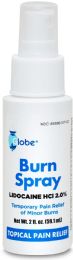 24 pieces Globe Lidocaine 2% Spray 2 Fl. oz - First Aid For Donation