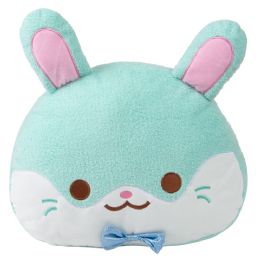 6 of 16 inch Kawaii Bunny PilloW-Teal
