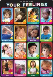 24 of Emotions Photographs, 13" X 19", Smart Poly Chart