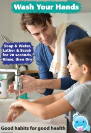 24 Pieces Smart Poly , Healthy Bubbles, Chart 13"x19", Good Habits for Good Health - School Supply Kits