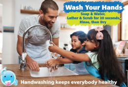 24 of Smart Poly , Healthy Bubbles, Chart 13"x19", Handwashing Keeps Everybody Healthy