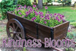 24 Pieces The Original Fun Mat, Welcome Mat, 15.5" X 23.5", Kindness Wagon Welcome - School and Office Supply Gear