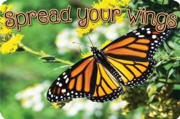 24 Pieces The Original Fun Mat, Welcome Mat, 15.5" X 23.5", Spread Your Wings Butterfly Welcome - School and Office Supply Gear