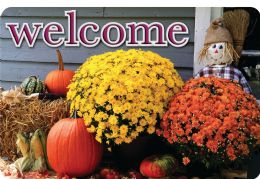 24 Pieces The Original Fun Mat, Welcome Mat, 15.5" X 23.5", Scarecrow Flowers Welcome - School and Office Supply Gear