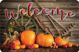 24 Pieces The Original Fun Mat, Welcome Mat, 15.5 inch X 23.5 inch, Harvest Wheel, Rake Welcome - School and Office Supply Gear