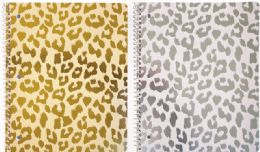 24 pieces Sparkle And Shine 1 Subject Notebook - Studio C - Notebooks