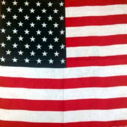 24 of Usa Flag Bandana