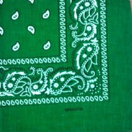 24 of Kelly Green Paisley Bandana